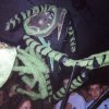 rd_oct2000_03